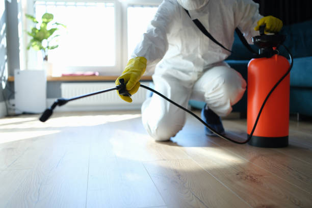Reliable Odor Removal contractor in Rosenberg, TX by Trauma Clean Pros